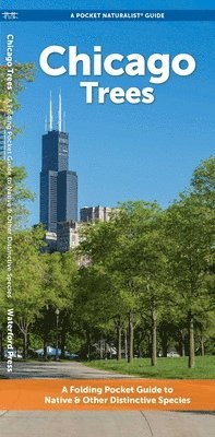 J M Kavanagh - Chicago Trees, Övrigt