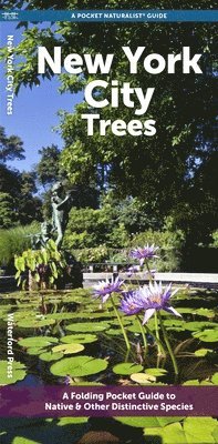 J M Kavanagh - New York City Trees, Övrigt. Tillgänglighet: Tillfälligt slut