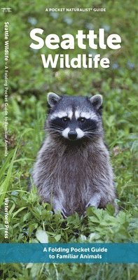 J M Kavanagh - Seattle Wildlife, Övrigt