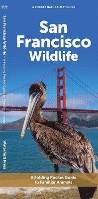 J M Kavanagh - San Francisco Wildlife, Övrigt. Tillgänglighet: Tillfälligt slut