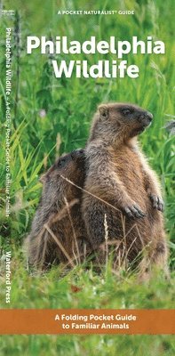 J M Kavanagh - Philadelphia Wildlife, Övrigt. Tillgänglighet: Tillfälligt slut