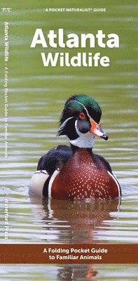 J M Kavanagh - Atlanta Wildlife, Övrigt. Tillgänglighet: Tillfälligt slut