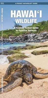 J M Kavanagh - Hawai'i Wildlife, 2nd Ed, Övrigt
