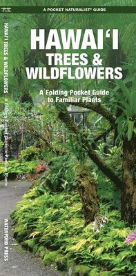 J M Kavanagh - Hawai'i Trees & Wildflowers, 2nd Ed, Övrigt