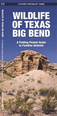 J M Kavanagh - Texas Big Bend, Wildlife of, Övrigt. Tillgänglighet: Lägg i varukorg