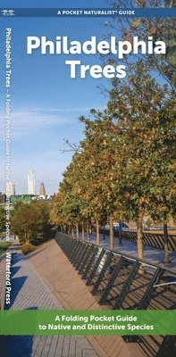 J M Kavanagh - Philadelphia Trees, Övrigt. Tillgänglighet: Kommande