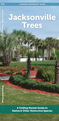 Waterford Press - Jacksonville Trees, Övrigt