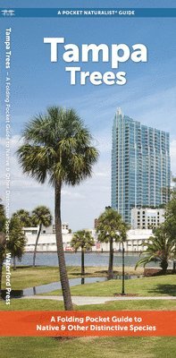 Waterford Press - Tampa Trees, Övrigt. Tillgänglighet: Tillfälligt slut