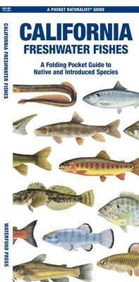 Matthew Morris Morris - California Freshwater Fishes, Övrigt