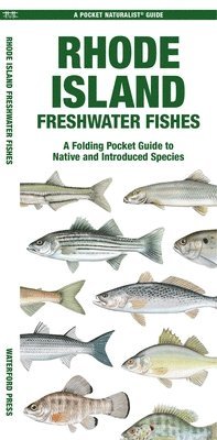 Matthew Morris - Rhode Island Freshwater Fishes, Övrigt