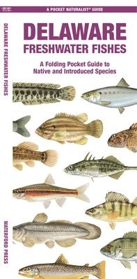 Matthew Morris - Delaware Freshwater Fishes, Övrigt