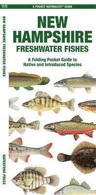 Matthew Morris - New Hampshire Freshwater Fishes, Övrigt