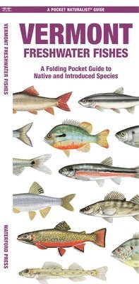 Matthew Morris - Vermont Freshwater Fishes, Övrigt