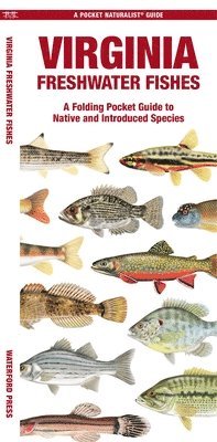 Matthew Morris - Virginia Freshwater Fishes, Övrigt