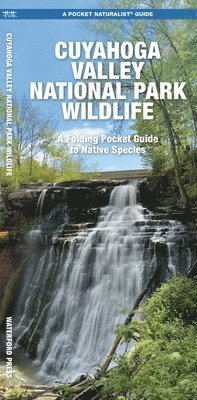 J M Kavanagh - Cuyahoga Valley National Park Wildlife, Övrigt. Tillgänglighet: Kommande