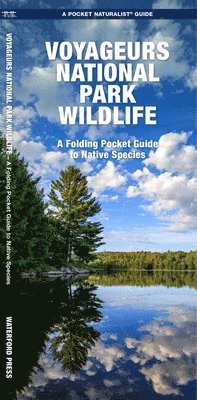 J M Kavanagh - Voyageurs National Park Wildlife, Övrigt. Tillgänglighet: Kommande