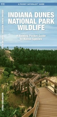J M Kavanagh - Indiana Dunes National Park Wildlife, Övrigt. Tillgänglighet: Kommande