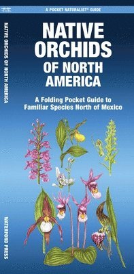 Mary Ruden, Jill Kavanagh - Native Orchids of North America, Övrigt