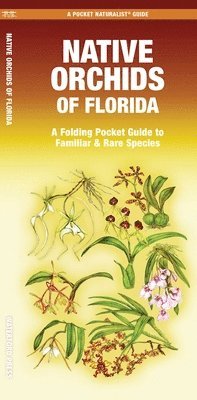 Mary Ruden Ruden - Native Orchids of Florida, Övrigt. Tillgänglighet: Tillfälligt slut
