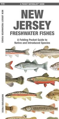 Matthew Morris - New Jersey Freshwater Fishes, Övrigt