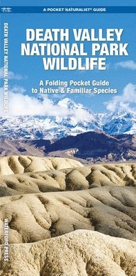 J M Kavanagh - Death Valley National Park Wildlife, Övrigt