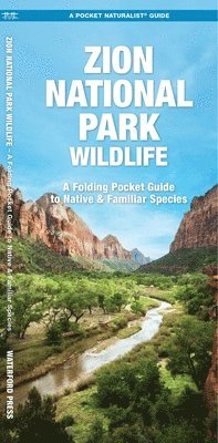 J M Kavanagh - Zion National Park Wildlife, Övrigt
