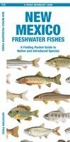Matthew Morris - New Mexico Freshwater Fishes, Övrigt