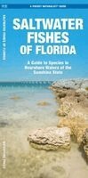 J M Kavanagh - Saltwater Fishes of Florida, Övrigt. Tillgänglighet: Kommande