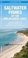 J M Kavanagh - Saltwater Fishes of the Mid-Atlantic Coast, Övrigt