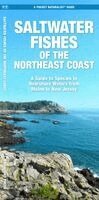 J M Kavanagh - Saltwater Fishes of the Northeast Coast, Övrigt