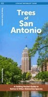 J M Kavanagh - Trees of San Antonio, Övrigt