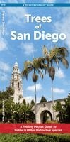 J M Kavanagh - Trees of San Diego, Övrigt