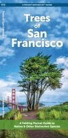 J M Kavanagh - Trees of San Francisco, Övrigt