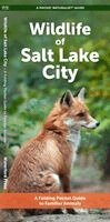 J M Kavanagh - Wildlife of Salt Lake City, Övrigt