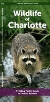 J M Kavanagh - Wildlife of Charlotte, Övrigt