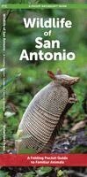 J M Kavanagh - Wildlife of San Antonio, Övrigt