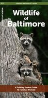 J M Kavanagh - Wildlife of Baltimore, Övrigt. Tillgänglighet: Lägg i varukorg
