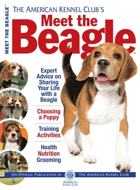 American Kennel Club - Meet the Beagle, E-bok