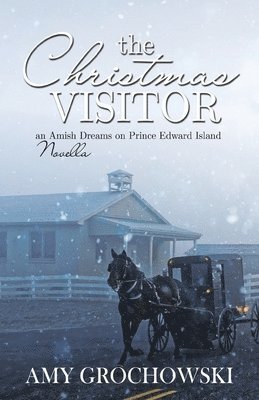 Amy Grochowski - Christmas Visitor, Häftad