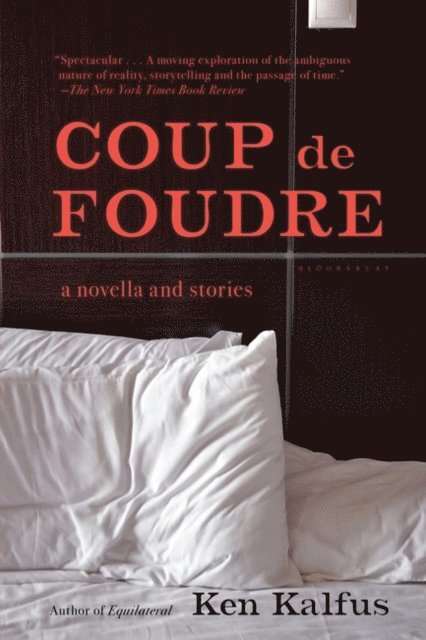 Ken Kalfus - Coup de Foudre, E-bok