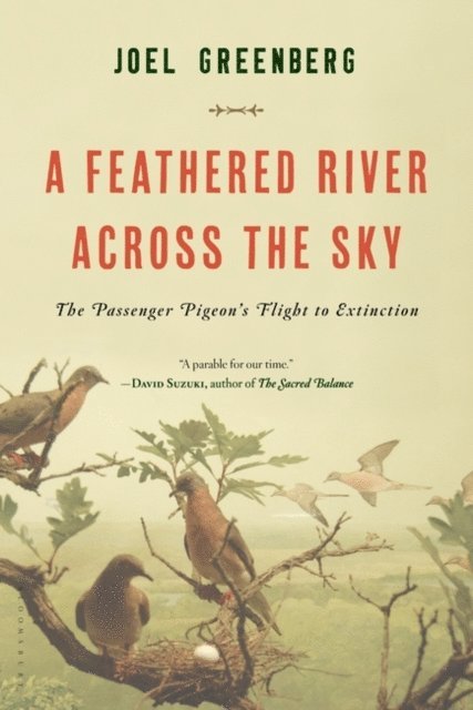 Joel Greenberg - Feathered River Across the Sky, E-bok. Tillgänglighet: Lägg i varukorg