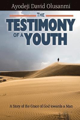 Ayodeji David Olusanmi - Testimony of a Youth, Häftad