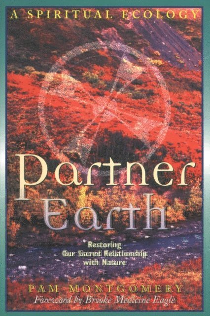 Pam Montgomery - Partner Earth, E-bok