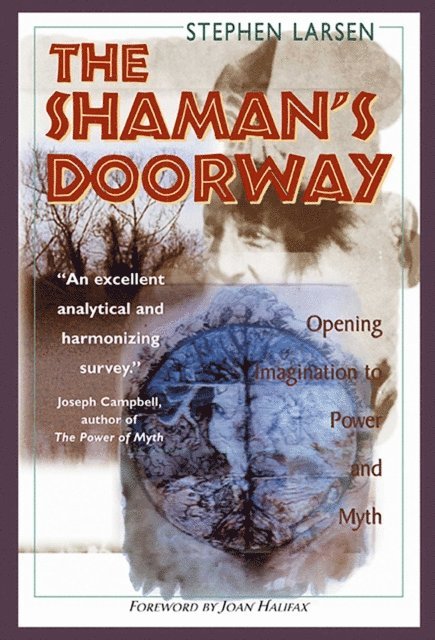 Stephen Larsen - Shaman's Doorway, E-bok. Tillgänglighet: Lägg i varukorg