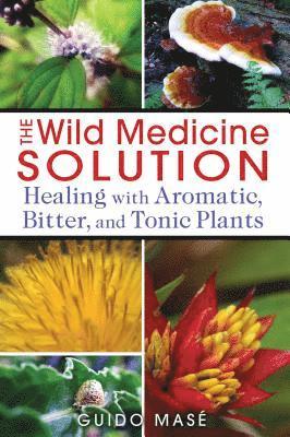 Guido Masé - Wild Medicine Solution, Häftad