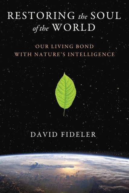 David Fideler - Restoring the Soul of the World, E-bok