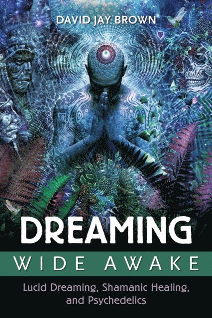 David Jay Brown - Dreaming Wide Awake, E-bok