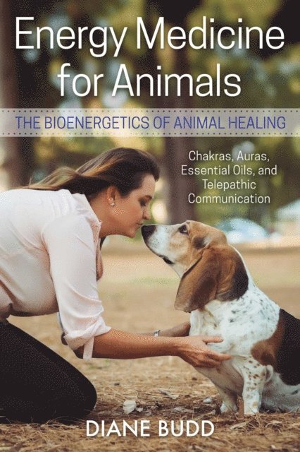 Diane Budd - Energy Medicine for Animals, E-bok