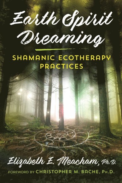 Elizabeth E. Meacham - Earth Spirit Dreaming, E-bok