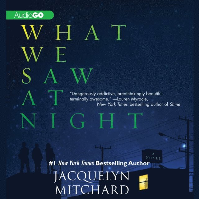 Jacquelyn Mitchard - What We Saw at Night, Ljudbok